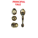 CERRAD. YALE PRINCIPAL LAT/ANT +