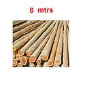 [COT-024] PINGOS DE 6 MTS