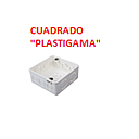 CAJETIN CUADRADO "PLASTIGAMA" 10X10 PLASTICO