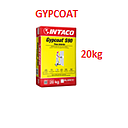 GYPCOAT MASILLA DE GYPSUM  INTERIOR